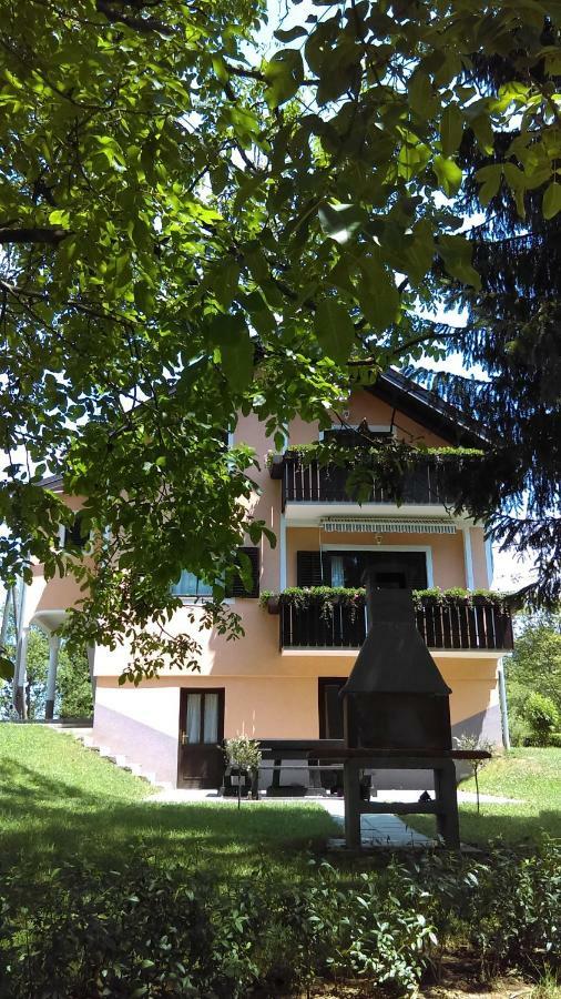 Countryside Apartment ラコヴィツァ エクステリア 写真